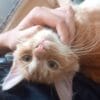 Images de profil de Marissa - Blooming Pets - Petsitting et garde d'animaux à domicile