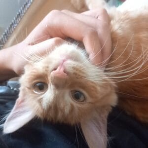 Images de profil de Marissa - Blooming Pets - Petsitting et garde d'animaux à domicile