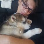 Image de profil de Tiffany - Blooming Pets - Petsitting et garde d'animaux à domicile