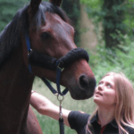 Lear   Pur-sang Anglais Hongre - Garde d'animaux à domicile