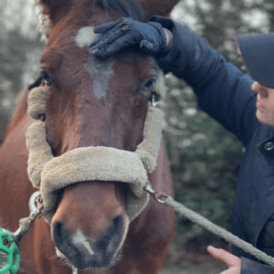 Images de profil de Carla - Blooming Pets - Petsitting et garde d'animaux à domicile