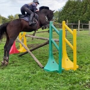 Images de profil de Carla - Blooming Pets - Petsitting et garde d'animaux à domicile