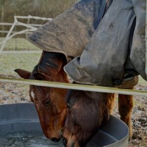 Images de profil de Carla - Blooming Pets - Petsitting et garde d'animaux à domicile