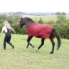 Images de profil de Carla - Blooming Pets - Petsitting et garde d'animaux à domicile