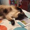 Images de profil de Floriane - Blooming Pets - Petsitting et garde d'animaux à domicile