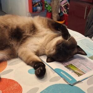 Images de profil de Floriane - Blooming Pets - Petsitting et garde d'animaux à domicile
