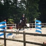 Soha du Poun Soha du Poun Anglo-Arabe Femelle - Garde d'animaux Ă domicile