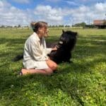 Oreo   Shetland Mâle - Garde d'animaux à domicile