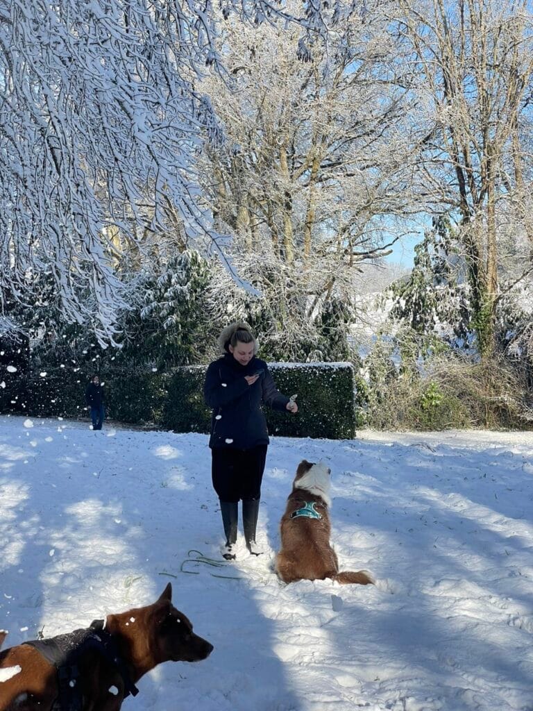 Image de profil de Alexia - Blooming Pets - Petsitting et garde d'animaux à domicile