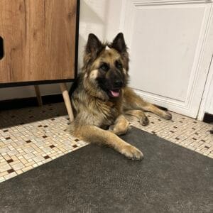 Images de profil de Alexia - Blooming Pets - Petsitting et garde d'animaux à domicile