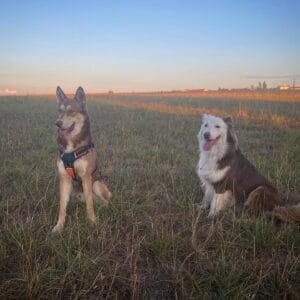 Images de profil de Alexia - Blooming Pets - Petsitting et garde d'animaux à domicile