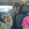 Images de profil de Marine - Blooming Pets - Petsitting et garde d'animaux Ă domicile