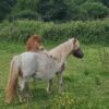 Images de profil de Nadège - Blooming Pets - Petsitting et garde d'animaux à domicile