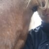 Images de profil de Nadège - Blooming Pets - Petsitting et garde d'animaux à domicile