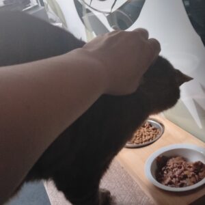 Images de profil de Angélique - Blooming Pets - Petsitting et garde d'animaux à domicile