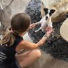 Images de profil de Daphné - Blooming Pets - Petsitting et garde d'animaux à domicile