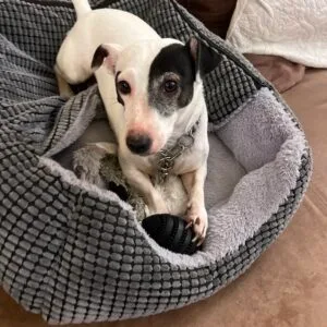 Images de profil de Lou - Blooming Pets - Petsitting et garde d'animaux Ă domicile