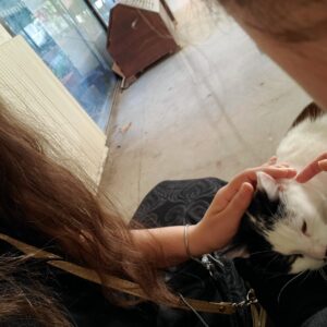 Images de profil de Oana - Blooming Pets - Petsitting et garde d'animaux à domicile