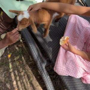 Images de profil de swoumansa - Blooming Pets - Petsitting et garde d'animaux à domicile