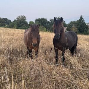 Images de profil de Léna - Blooming Pets - Petsitting et garde d'animaux à domicile