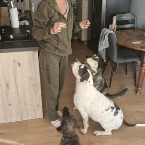 Images de profil de Pierrine - Blooming Pets - Petsitting et garde d'animaux Ă domicile