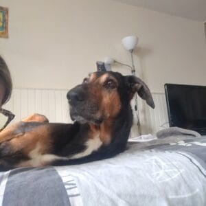 Images de profil de Pierrine - Blooming Pets - Petsitting et garde d'animaux Ă domicile