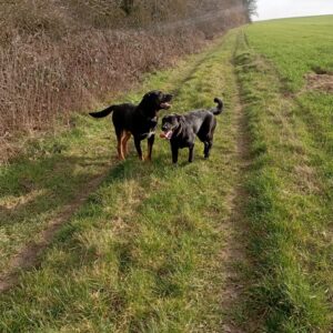 Images de profil de Laura - Blooming Pets - Petsitting et garde d'animaux à domicile