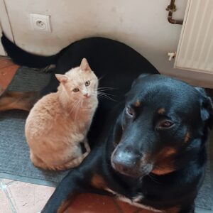 Images de profil de Laura - Blooming Pets - Petsitting et garde d'animaux à domicile