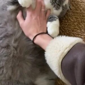 Images de profil de Laëtitia - Blooming Pets - Petsitting et garde d'animaux à domicile