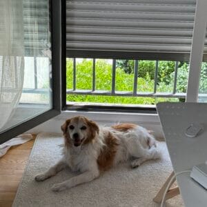 Images de profil de Elodie - Blooming Pets - Petsitting et garde d'animaux à domicile