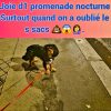 Images de profil de julia - Blooming Pets - Petsitting et garde d'animaux à domicile