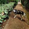 Images de profil de julia - Blooming Pets - Petsitting et garde d'animaux à domicile