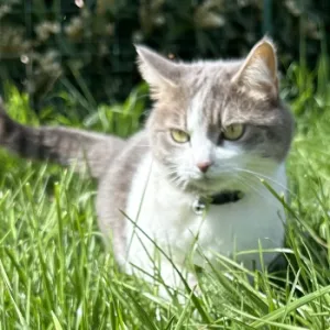 Maylis photo de profil