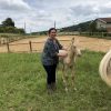 Images de profil de Charlotte - Blooming Pets - Petsitting et garde d'animaux Ă domicile