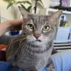 Images de profil de Elodie - Blooming Pets - Petsitting et garde d'animaux à domicile