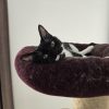 Images de profil de Elodie - Blooming Pets - Petsitting et garde d'animaux à domicile