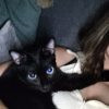 Images de profil de Emma - Blooming Pets - Petsitting et garde d'animaux à domicile