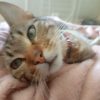 Images de profil de Emily - Blooming Pets - Petsitting et garde d'animaux à domicile