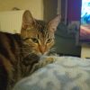 Images de profil de Emily - Blooming Pets - Petsitting et garde d'animaux à domicile