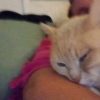 Images de profil de Emily - Blooming Pets - Petsitting et garde d'animaux à domicile