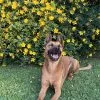 Images de profil de Elise - Blooming Pets - Petsitting et garde d'animaux à domicile