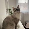Images de profil de Elise - Blooming Pets - Petsitting et garde d'animaux à domicile