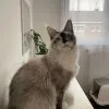 Images de profil de Elise - Blooming Pets - Petsitting et garde d'animaux à domicile