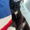 Images de profil de Elise - Blooming Pets - Petsitting et garde d'animaux à domicile