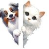 Logo de Alexandra - Blooming Pets - Petsitting et garde d'animaux à domicile