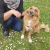 Images de profil de Laura - Blooming Pets - Petsitting et garde d'animaux à domicile