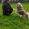 Images de profil de Laura - Blooming Pets - Petsitting et garde d'animaux à domicile
