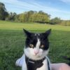 Images de profil de Adeline - Blooming Pets - Petsitting et garde d'animaux à domicile