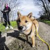 Images de profil de Agathe - Blooming Pets - Petsitting et garde d'animaux à domicile