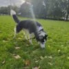 Images de profil de Agathe - Blooming Pets - Petsitting et garde d'animaux à domicile